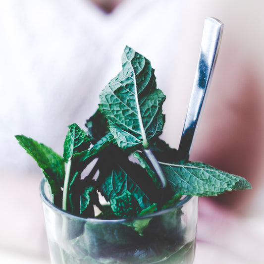 Its All About Peppermint Essential Oil