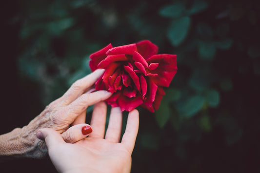 Best Essential Oils For Skin That Fights Aging/Wrinkles