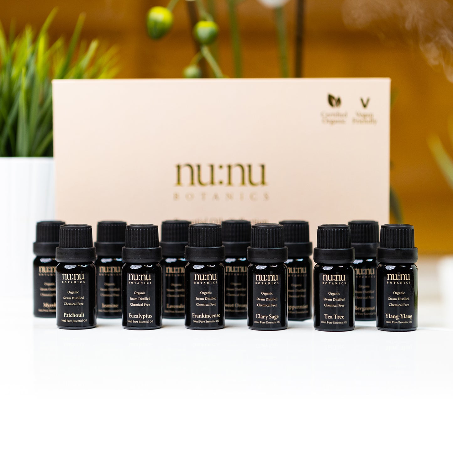 Assorted Organic Essential Oils Set (12 Pack)